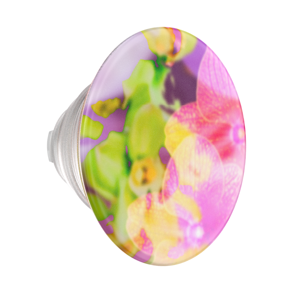Collage Fleur — PopTop - US 59916