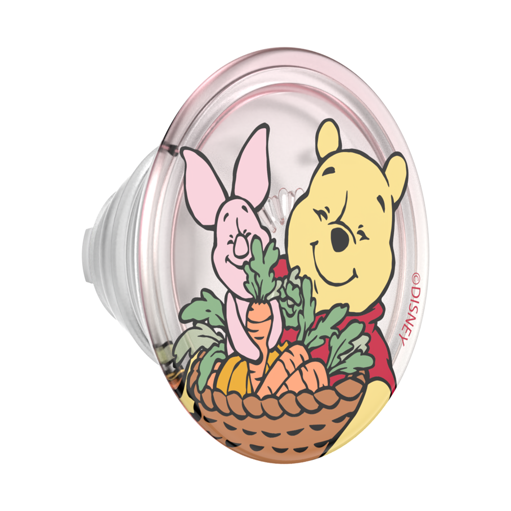 Harvest Friends — MagSafe PopGrip - US 15021