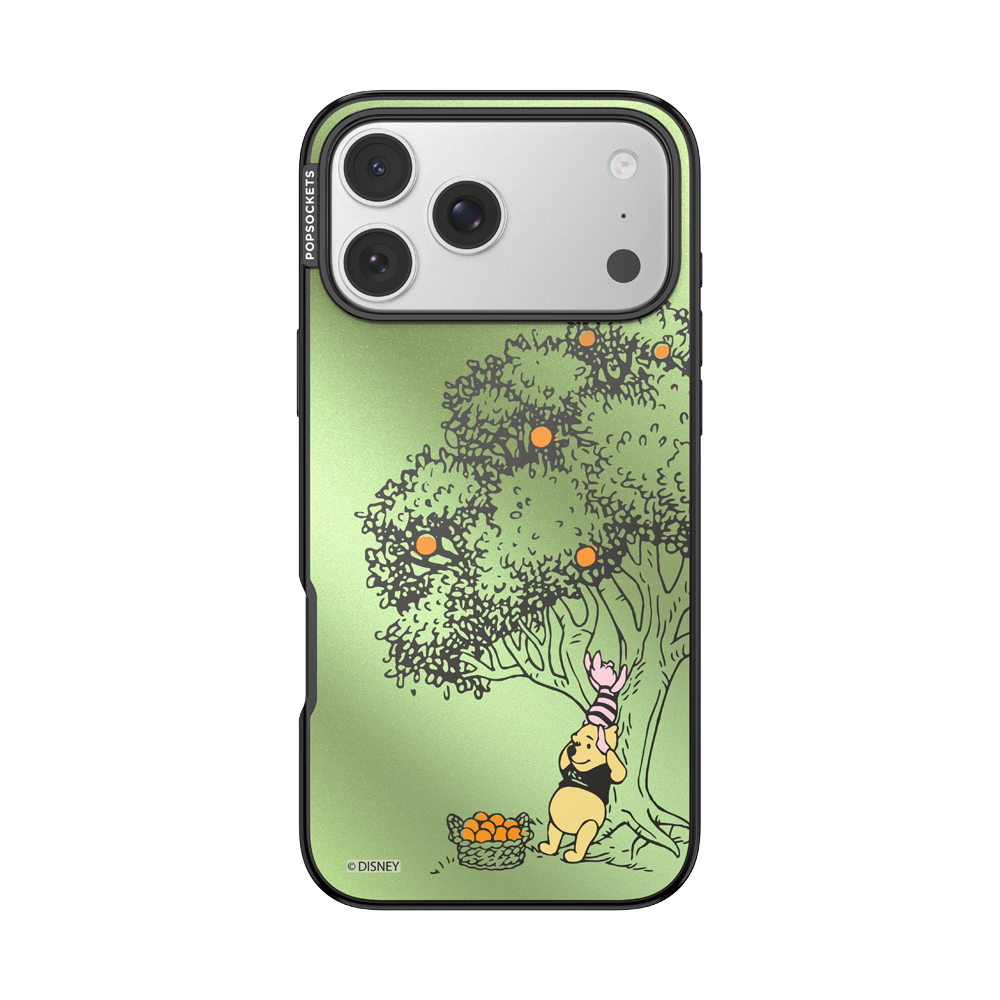 100 Acre Wood — iPhone 17 Pro Max MagSafe Case - US 83500