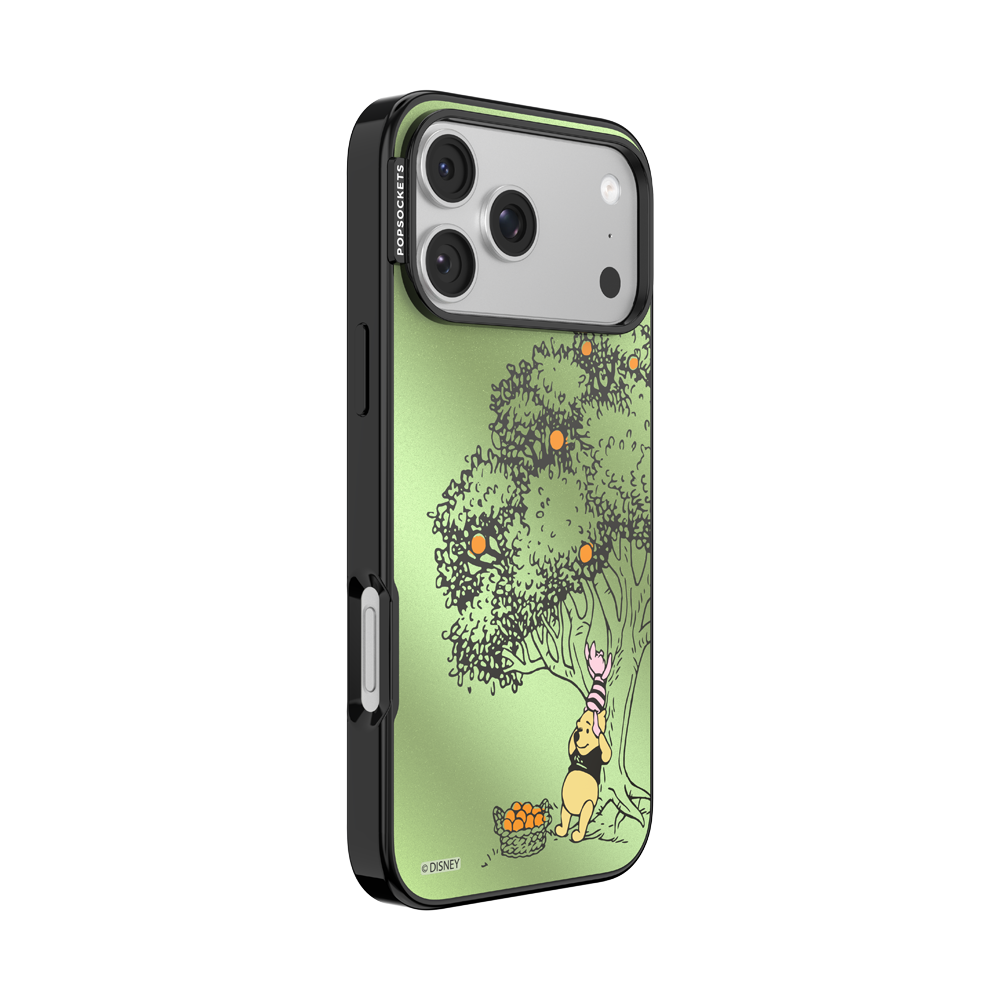 100 Acre Wood — iPhone 17 Pro Max MagSafe Case - US 48238