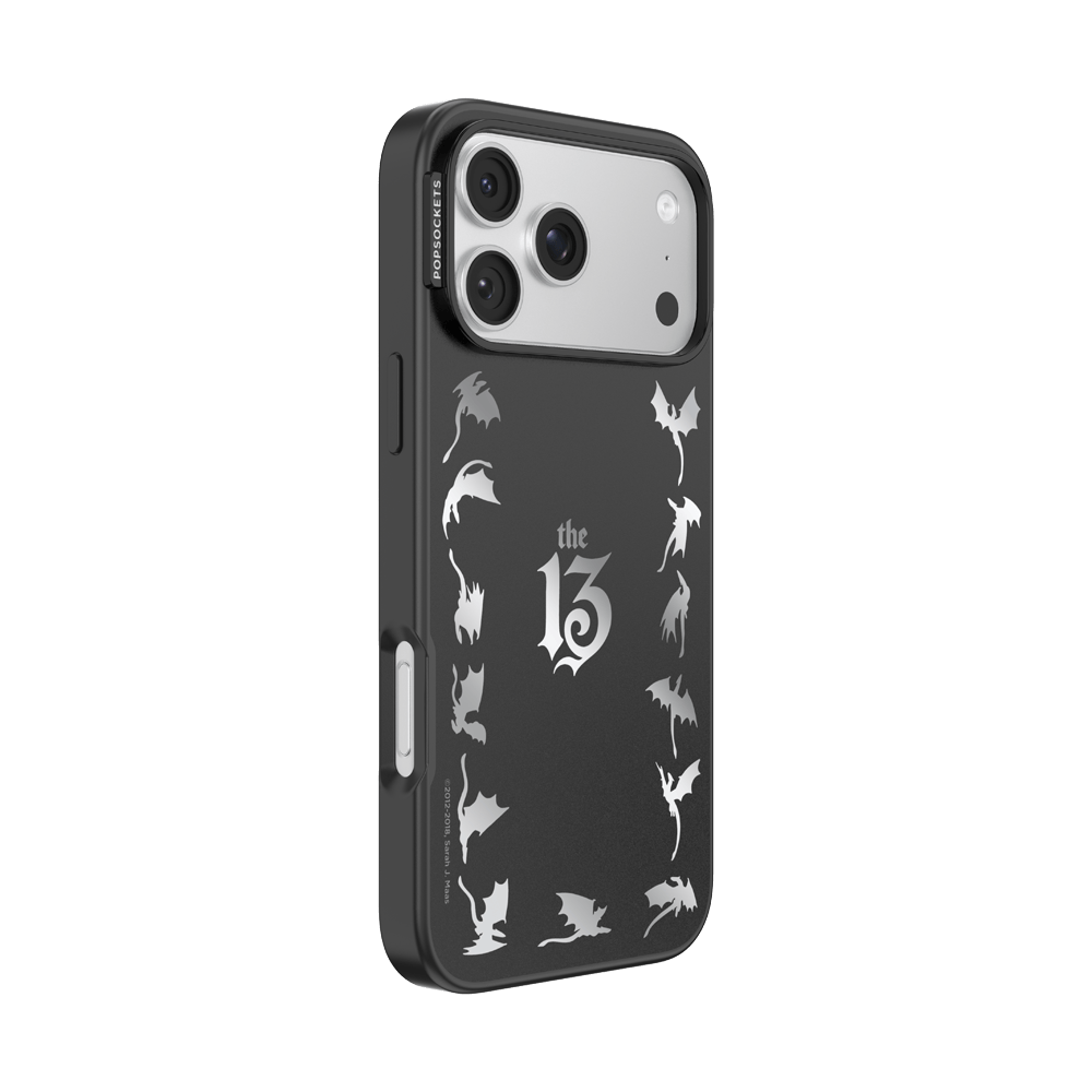 Mirror The 13 — iPhone 17 Pro Max MagSafe Case - US 18512