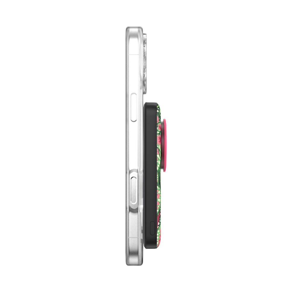 Mask Plant — MagSafe PowerPack - US 33615