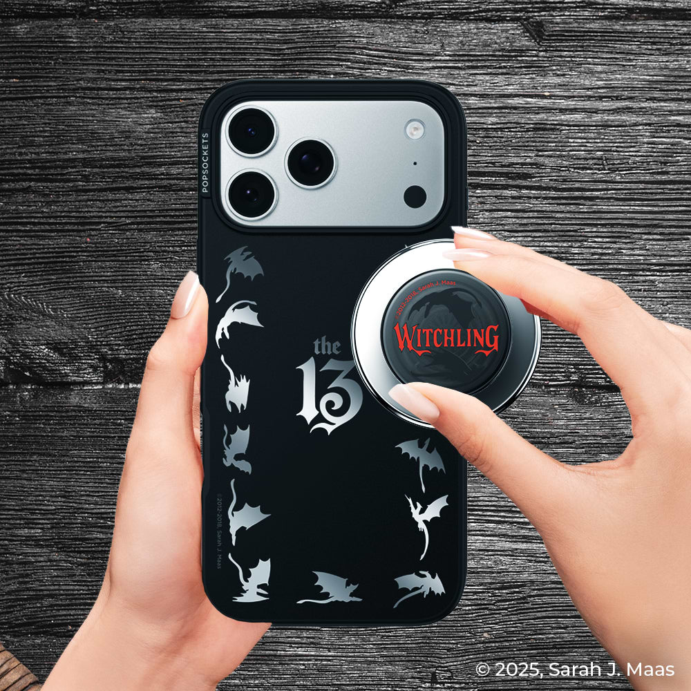 Mirror The 13 — iPhone 17 Pro Max MagSafe Case - US 94699