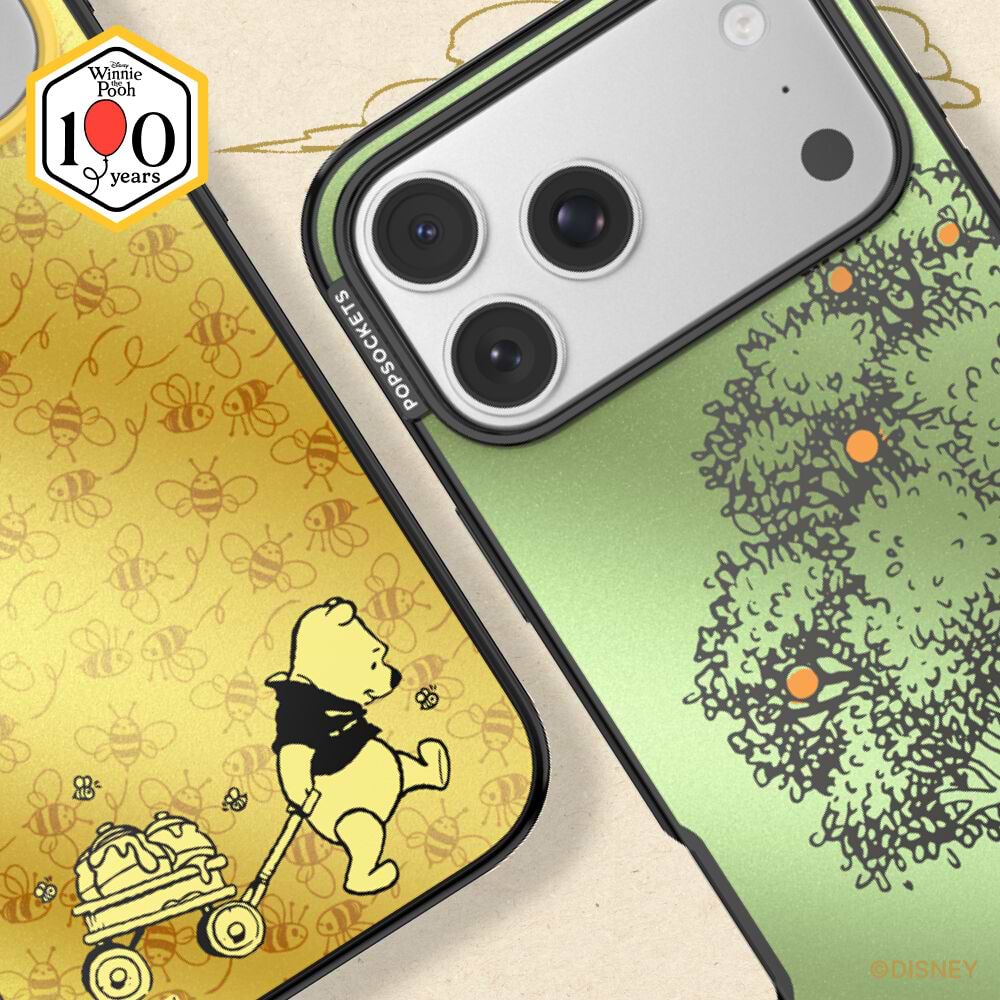 100 Acre Wood — iPhone 17 Pro Max MagSafe Case - US 15909
